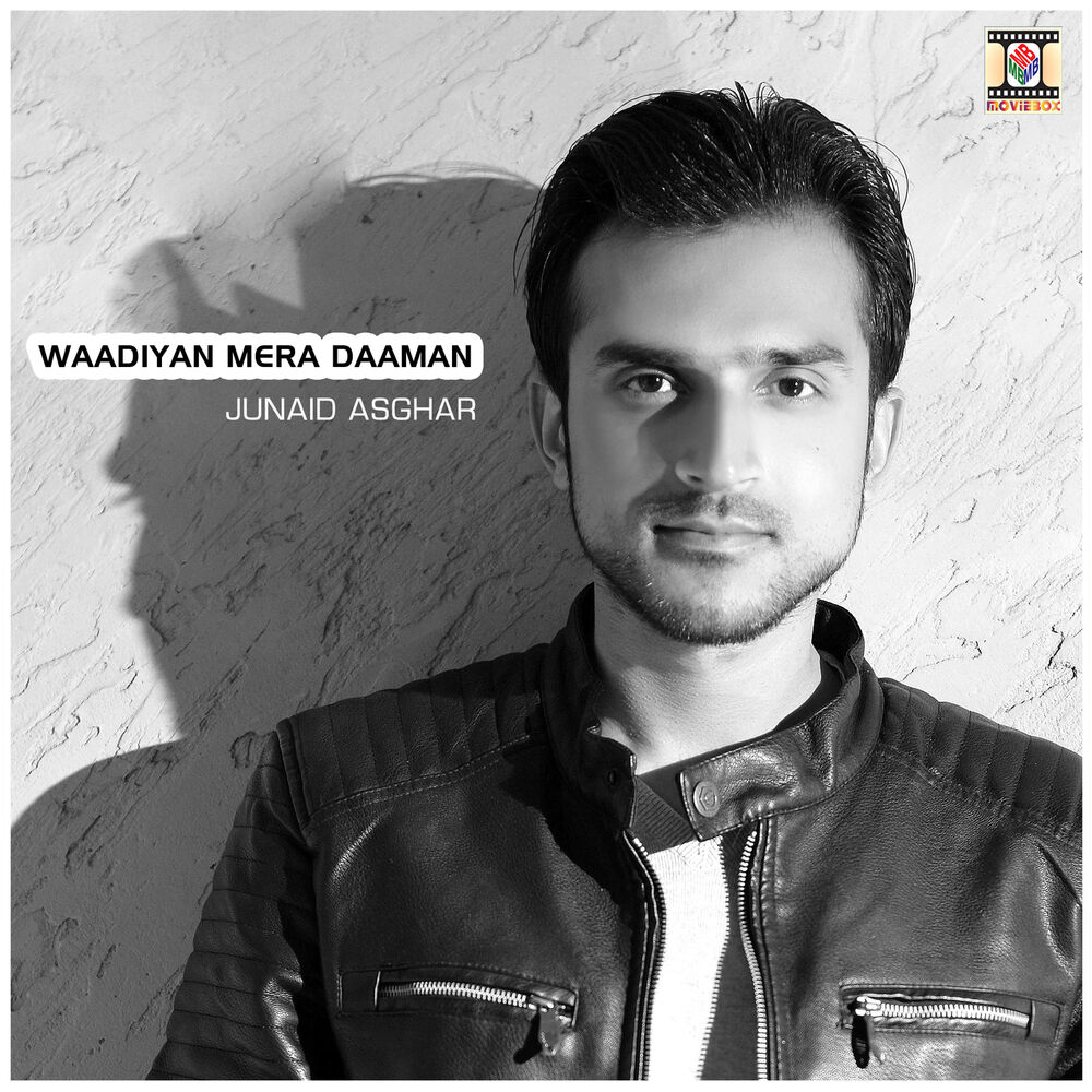 Picture of Waadiyan Mera Daaman