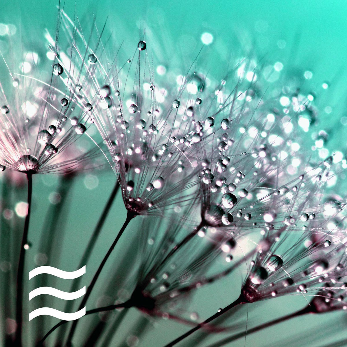 Album cover of Soothing White Sough to Relax
