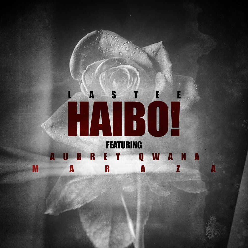 Picture of HAIBO (feat. Aubrey Qwana & MarazA)