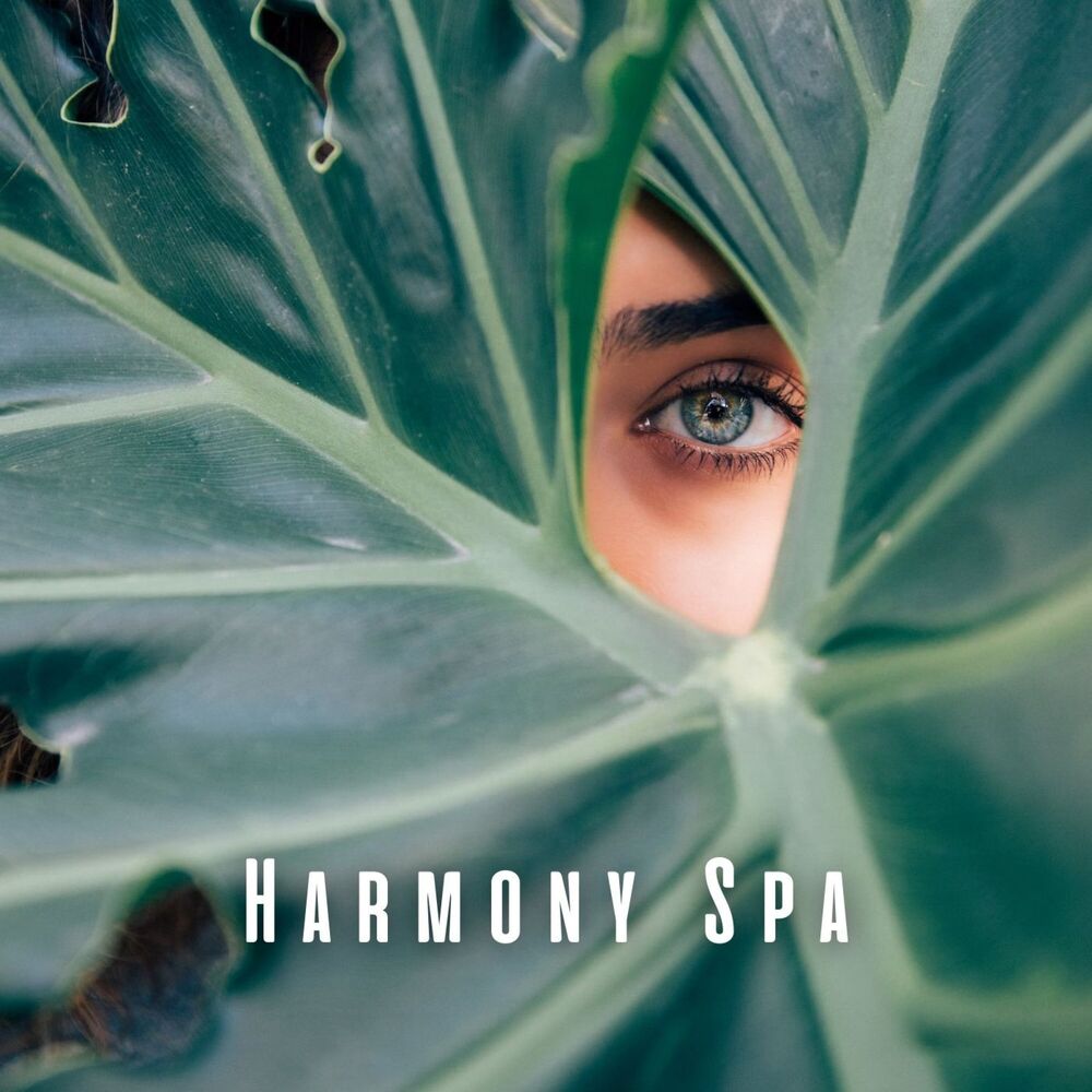 Picture of Harmony Spa: Meditation Music for Mindful Healing
