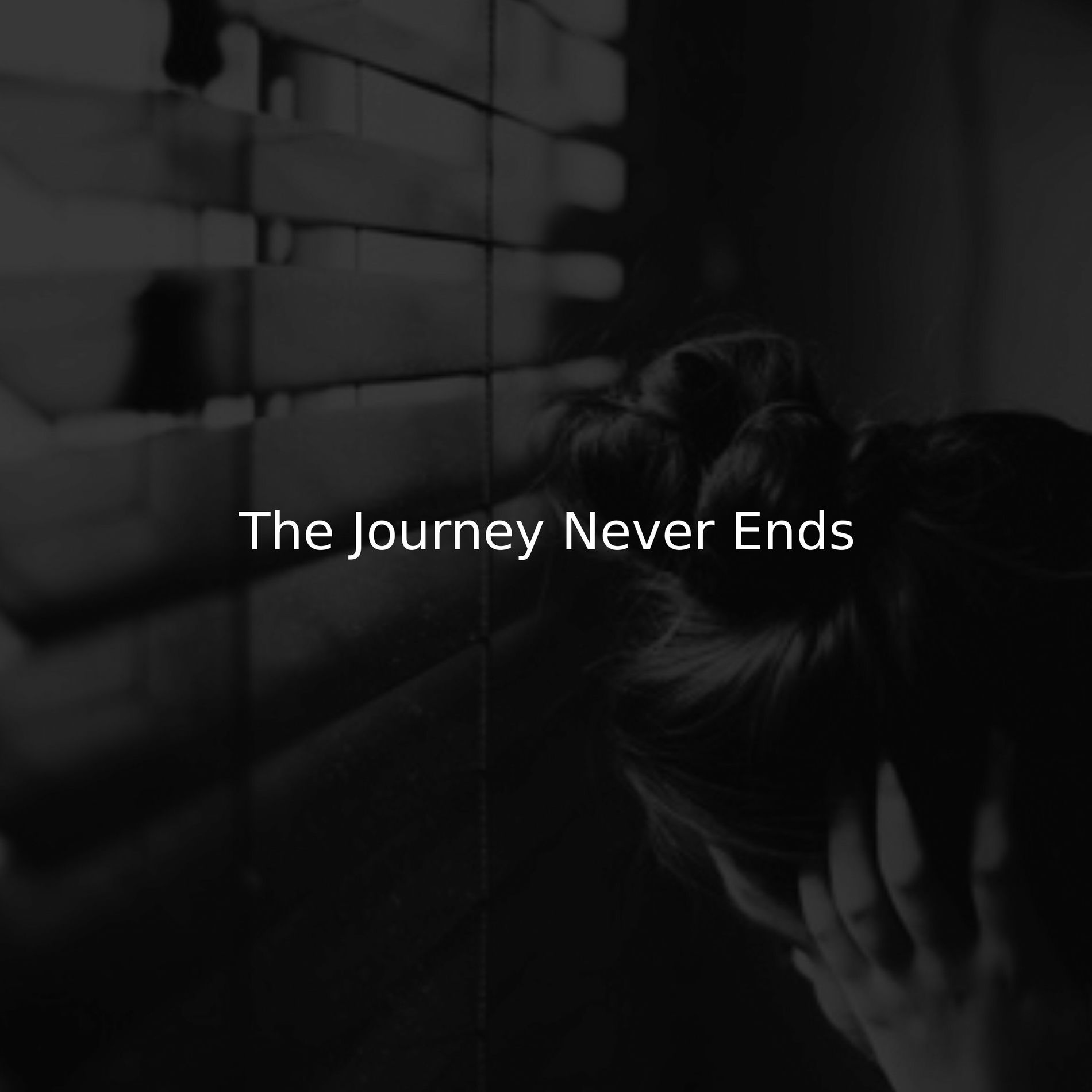 Album cover of The Journey Never Ends