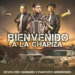 Cover of Bienvenido a la Chapiza ( Un Viejito en una Piedra )