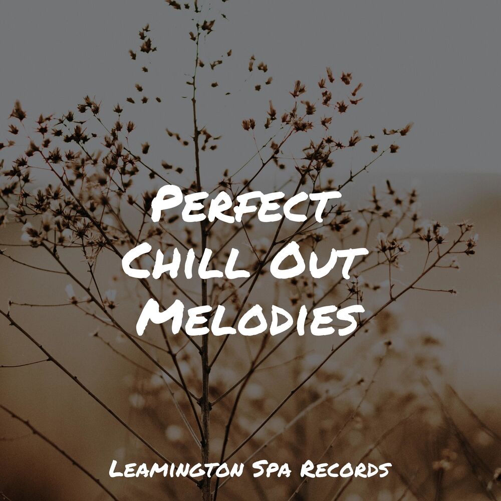 Picture of Perfect Chill Out Melodies