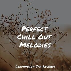 Cover of Perfect Chill Out Melodies