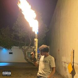 Cover of Whole Lotta