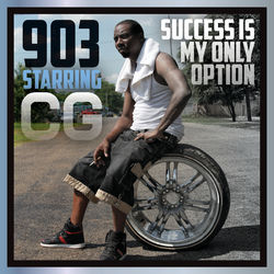 Cover of Success Is My Only Option by undefined