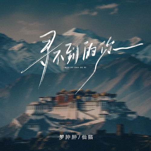 寻不到的你