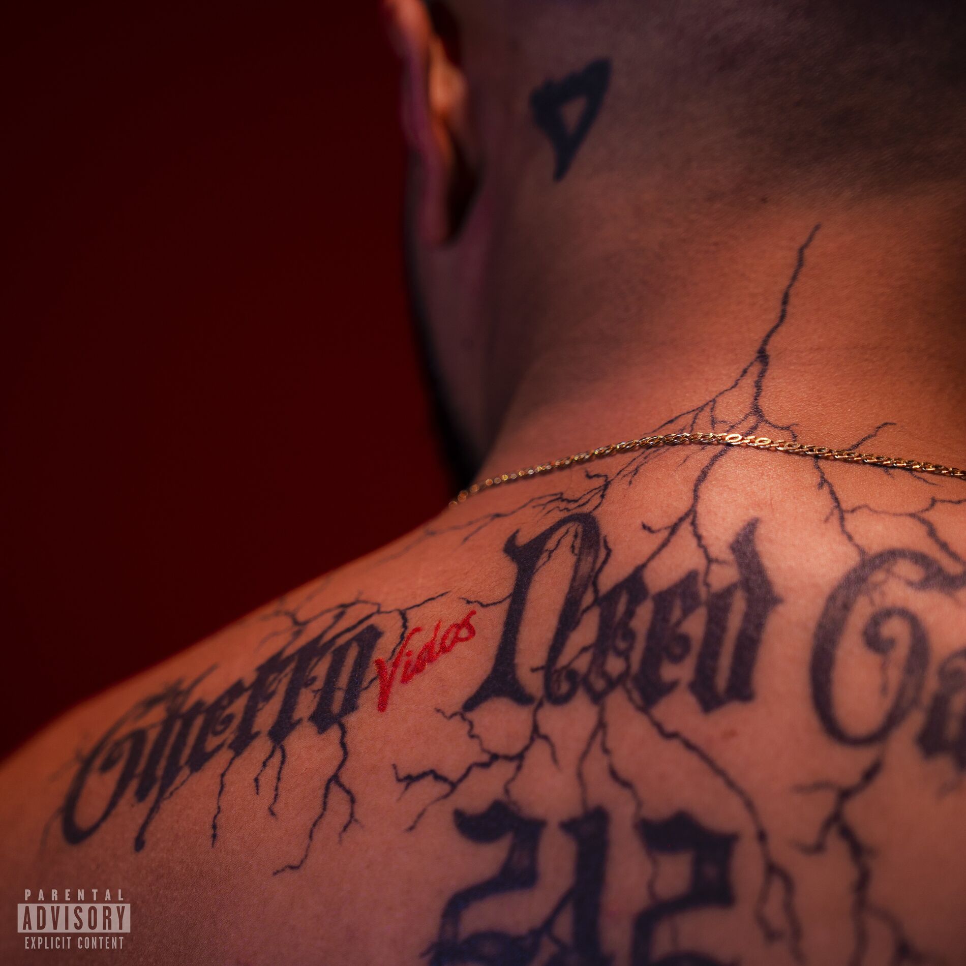 Album cover of Vidos