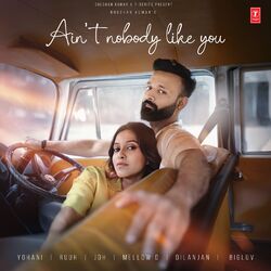 Cover of Ain't Nobody Like You