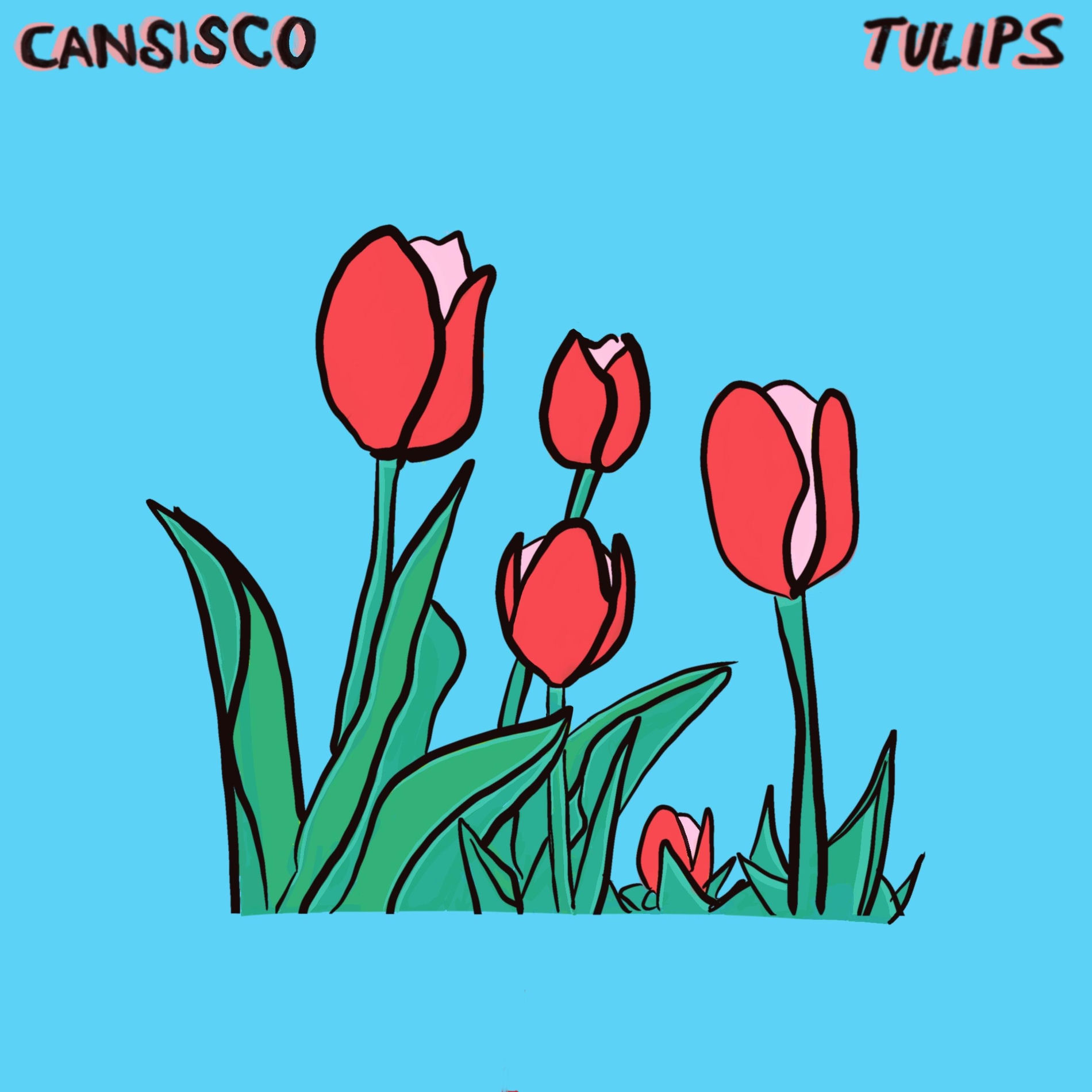 Cansisco - Tulips | Deezer