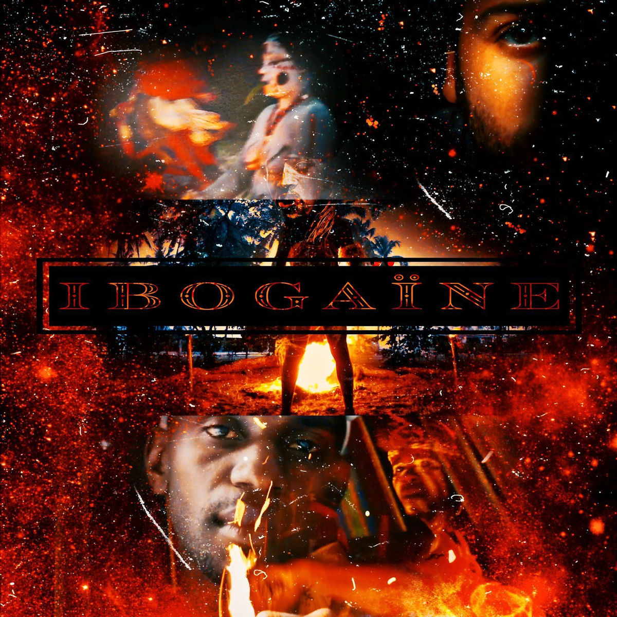 Album cover of Ibogaïne