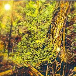 Cover of Jungle Balance (Deep Relaxation Frequencies)