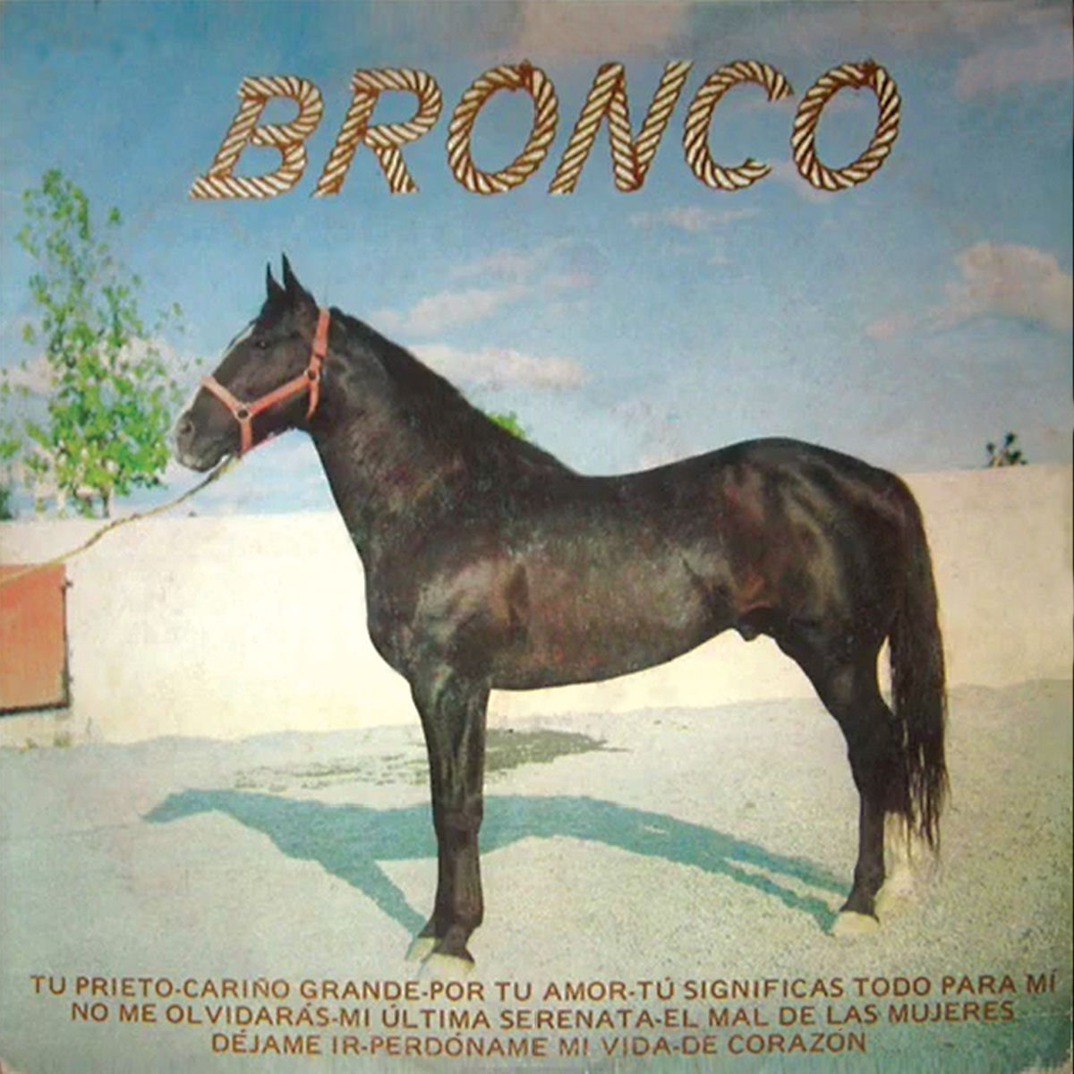 Album cover of Tu Prieto