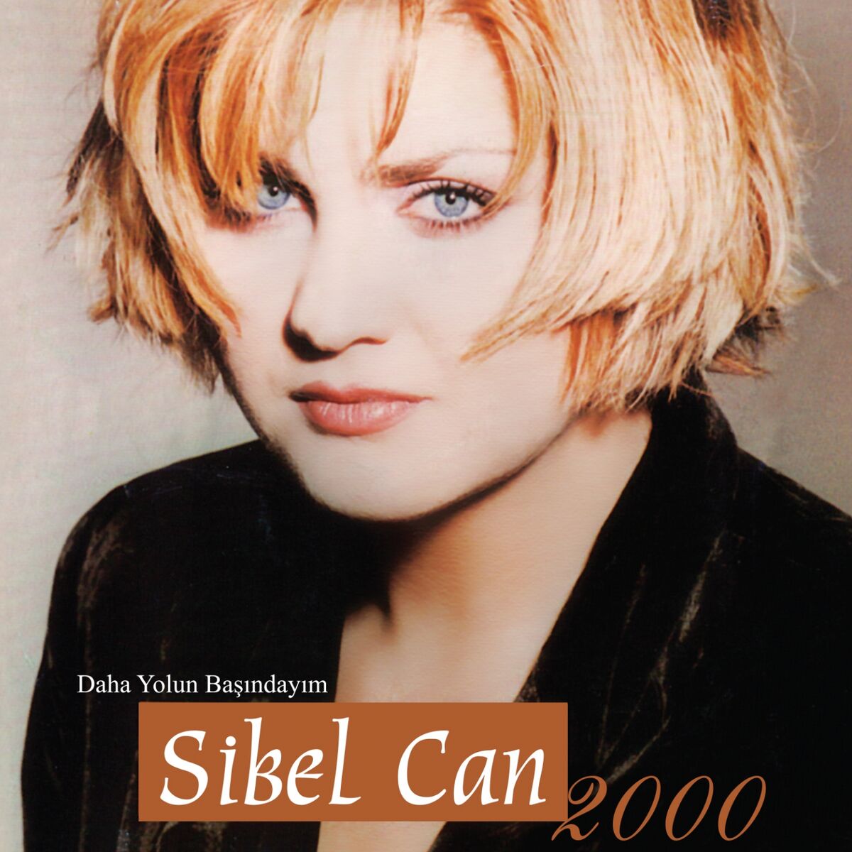 Album cover of Daha Yolun Başındayım