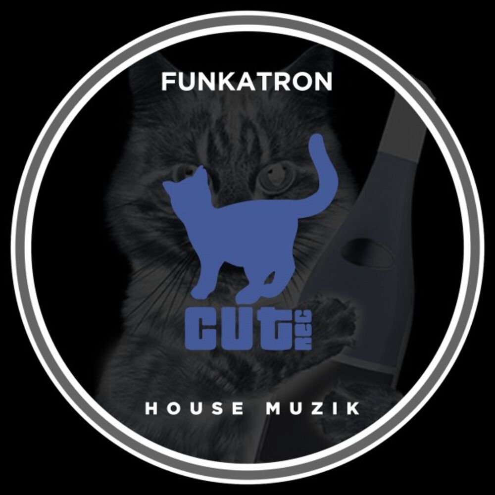 Picture of House Muzik