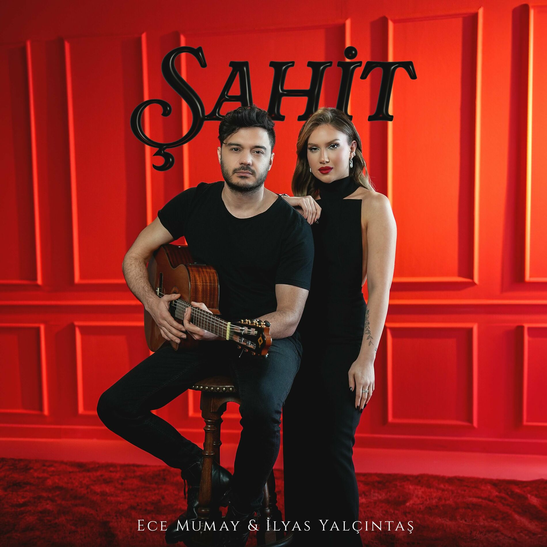 Album cover of Şahit