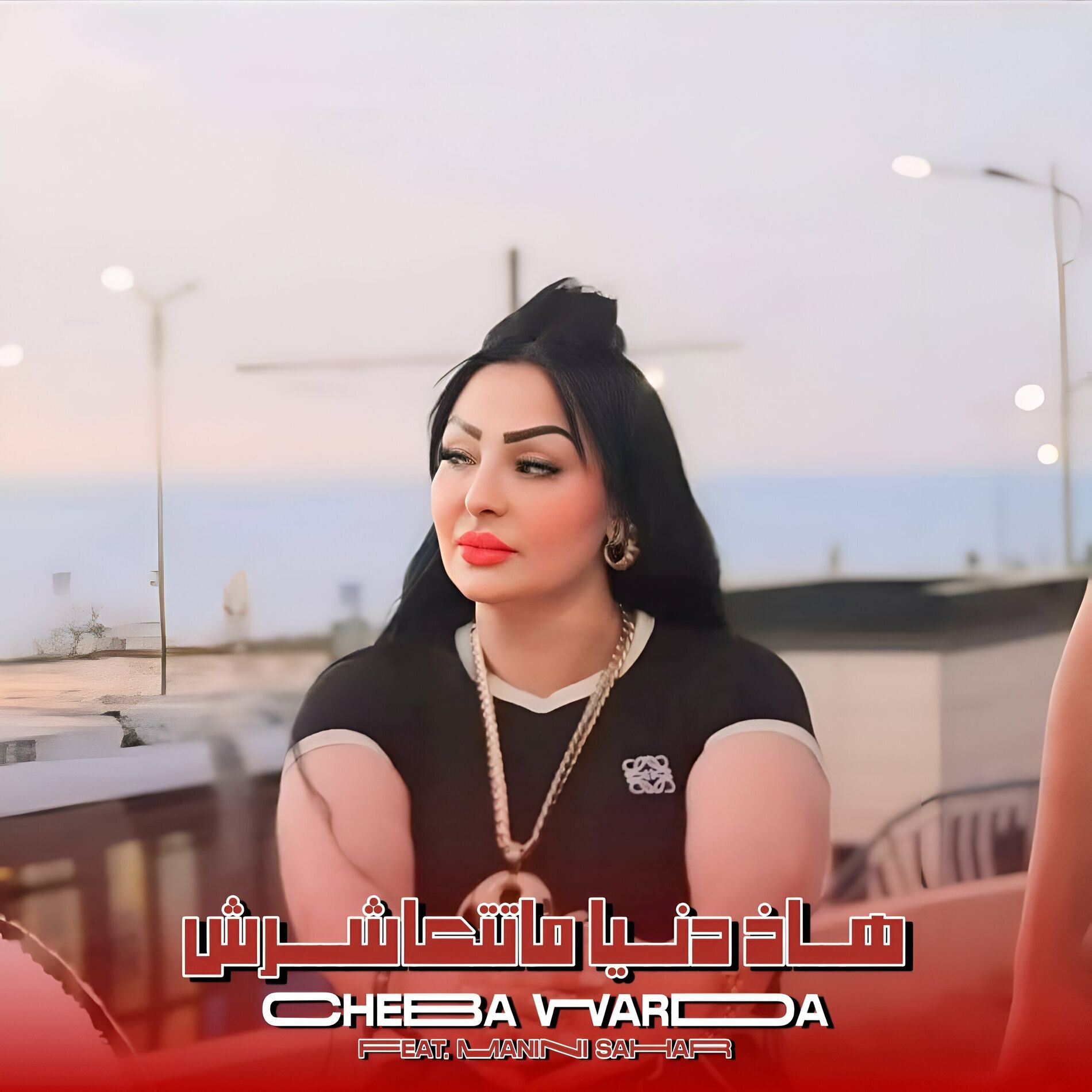 Album cover of Had Denia Ma Tet3achrech