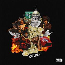 Cover of Culture