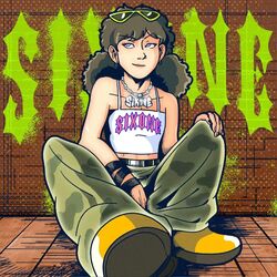 Cover of 密码