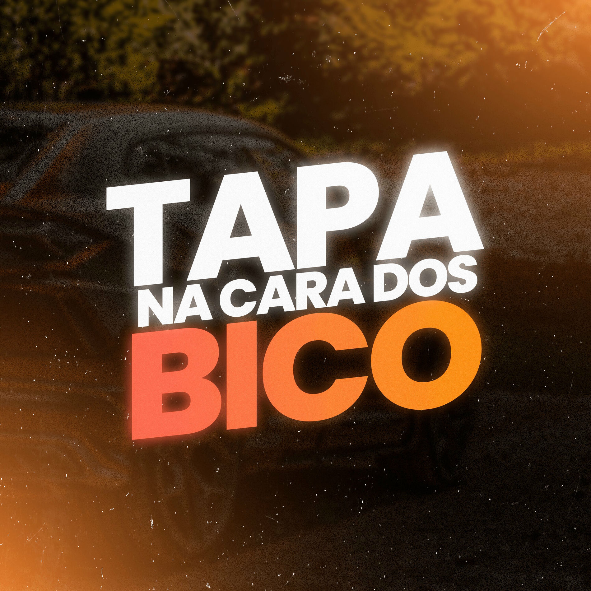 Album cover of TAPA NA CARA DOS BICO