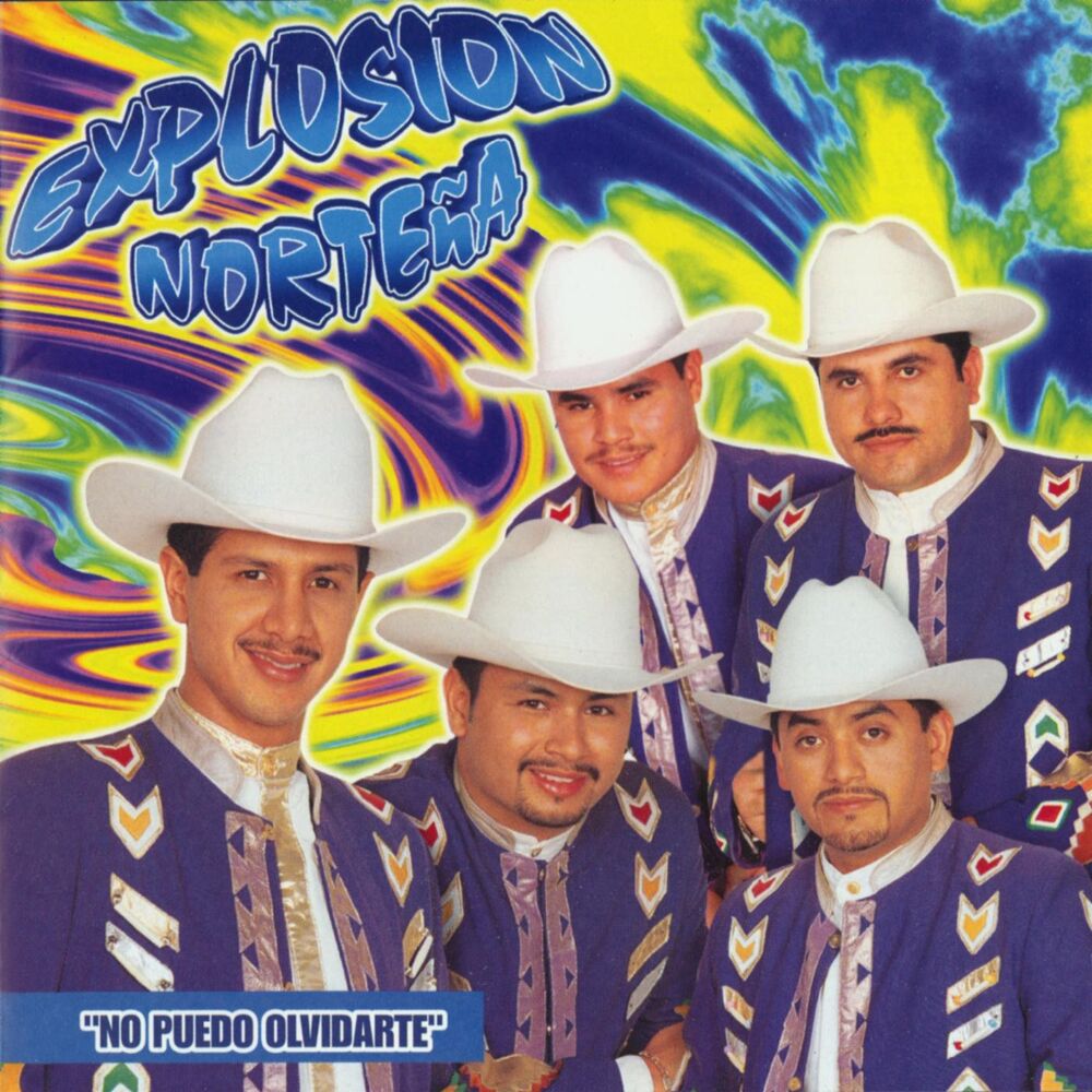 Picture of No Puedo Olvidarte