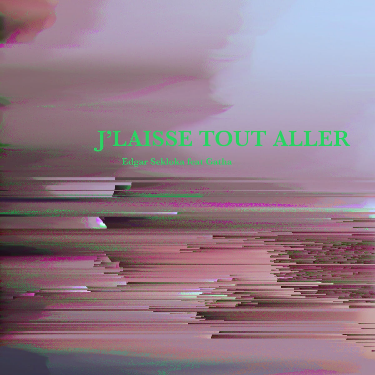 Album cover of J'laisse tout aller