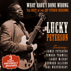 Cover of What Have I Done Wrong - The Best of the JSP Sessions
