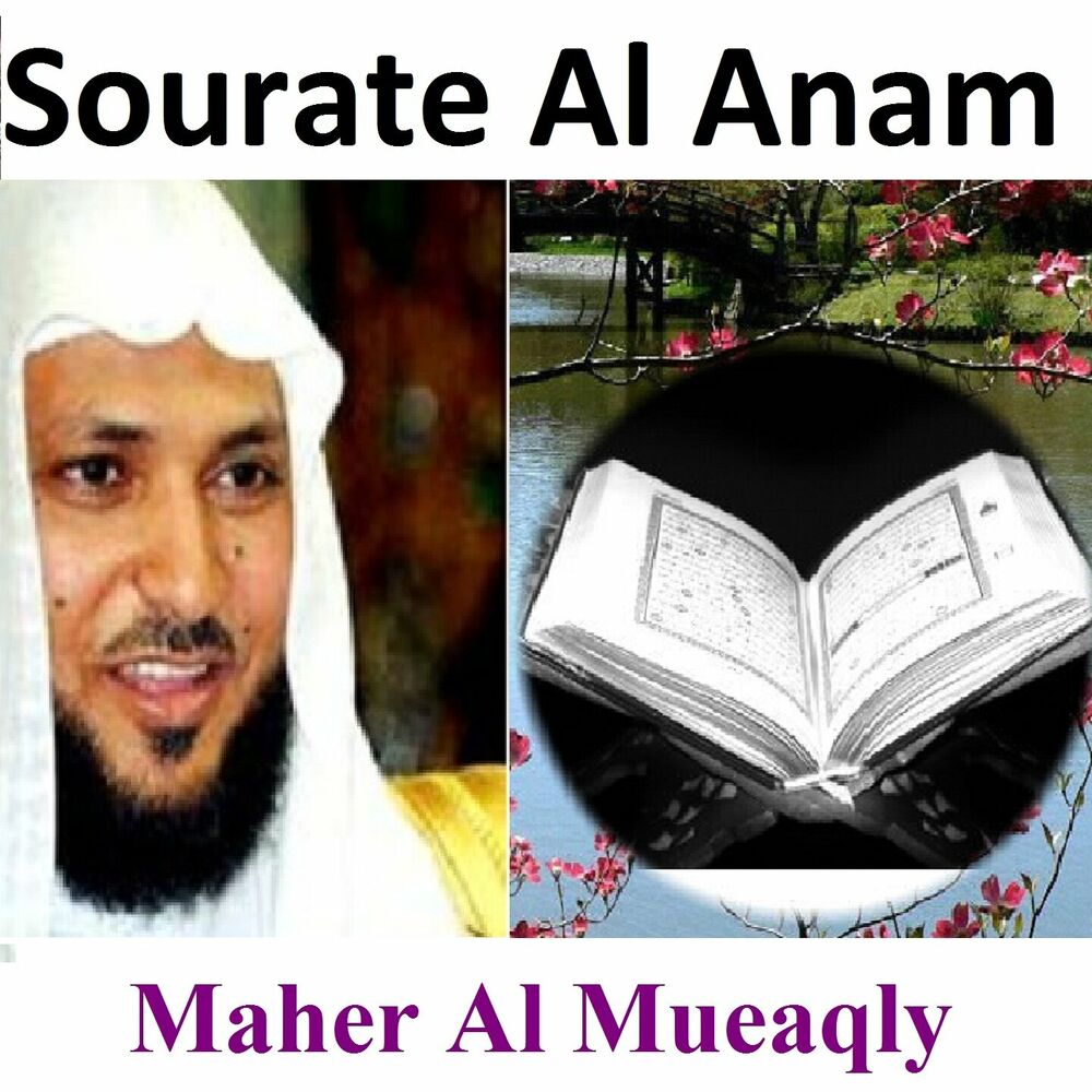 Picture of Sourate Al Anam (Quran - Coran - Islam)