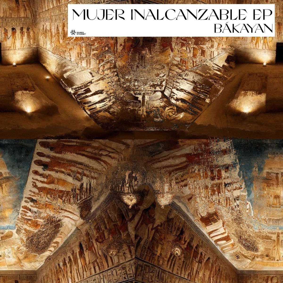 Album cover of Mujer Inalcanzable