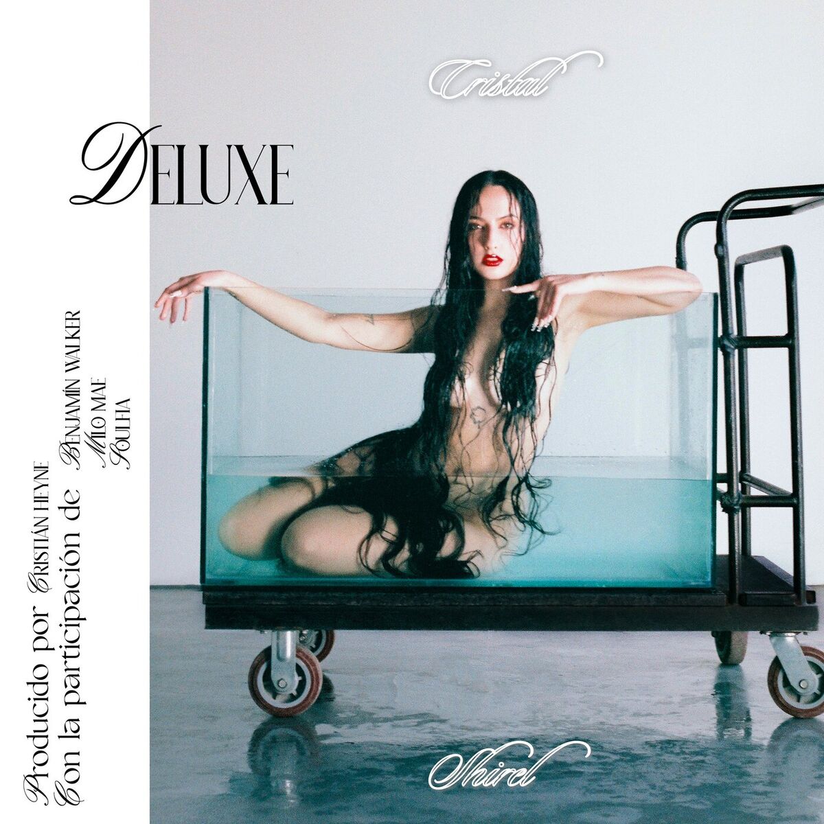 Album cover of Cristal (Deluxe)