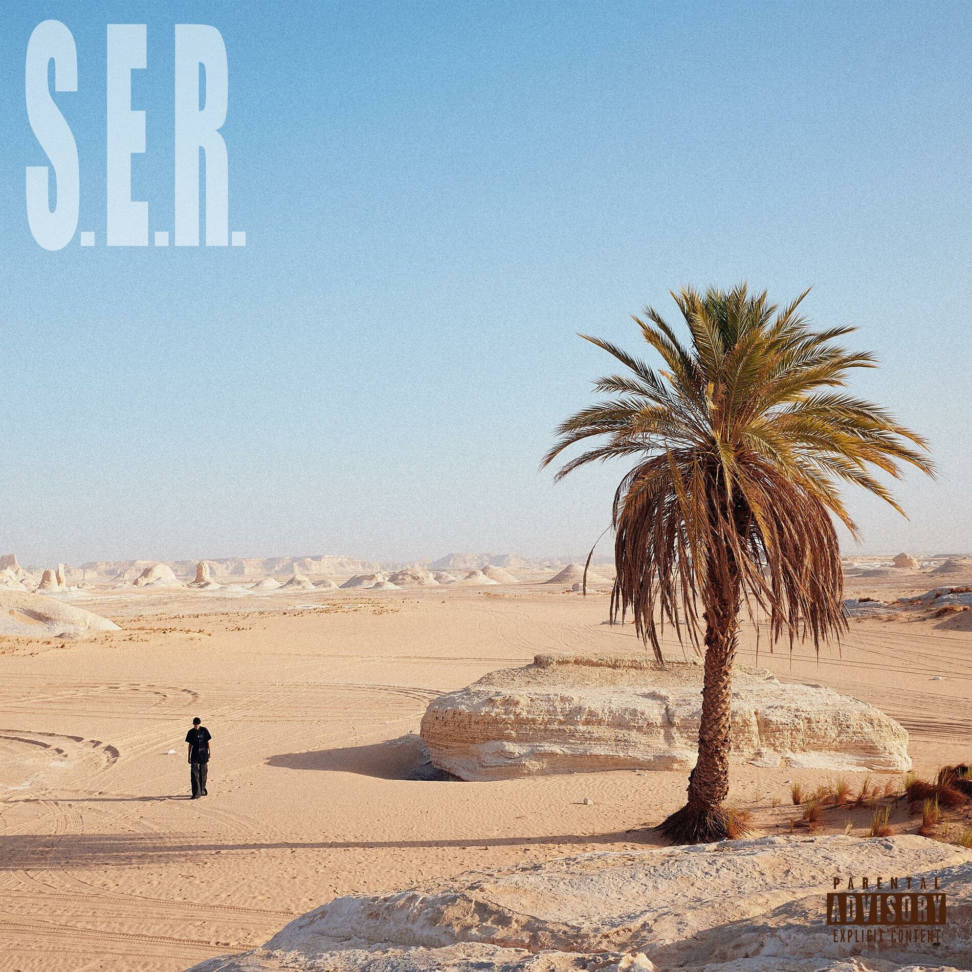 Album cover of S.E.R.