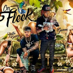 Cover of On Fleek