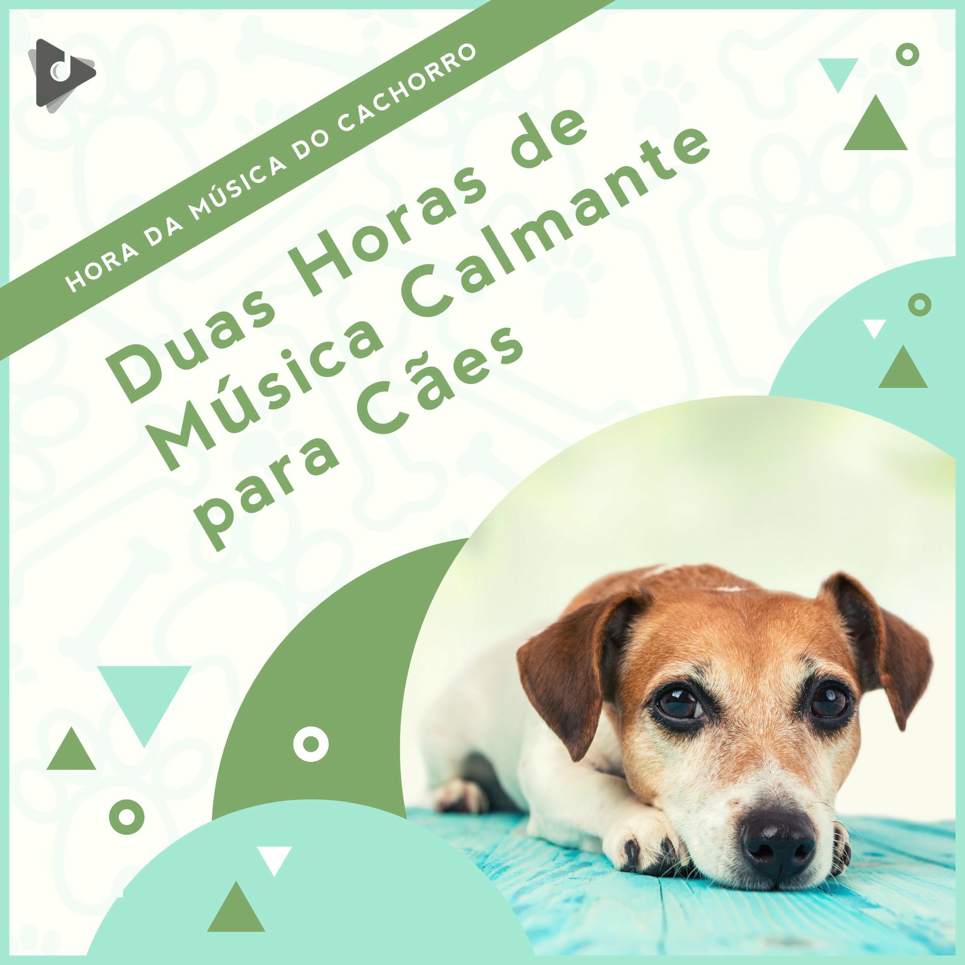 Album cover of 2 Horas de Música Calmante para Cães