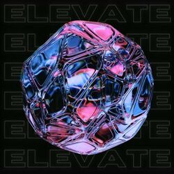Cover of Elevate