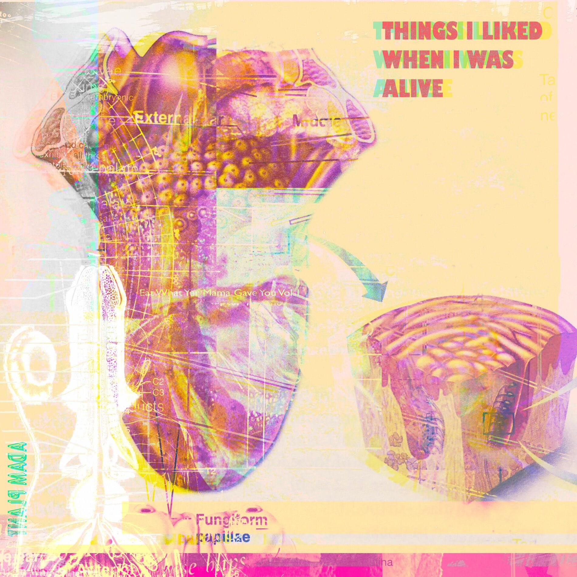 Album cover of Things I Liked When I Was Alive