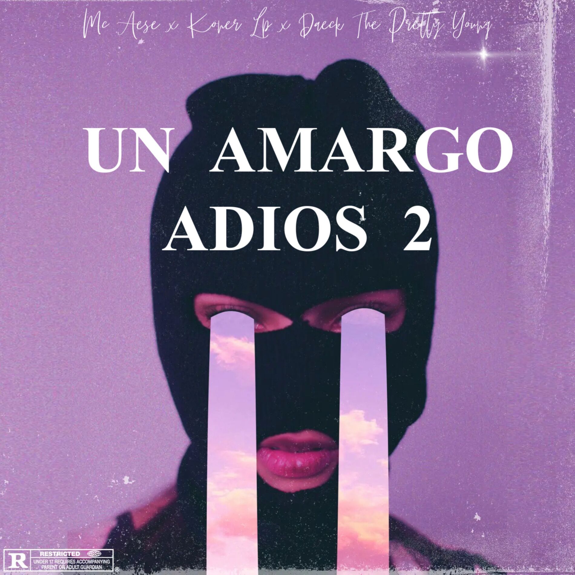 Album cover of Un Amargo Adios 2