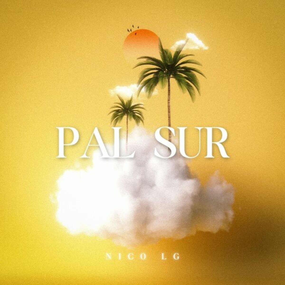 Album cover of Pal Sur