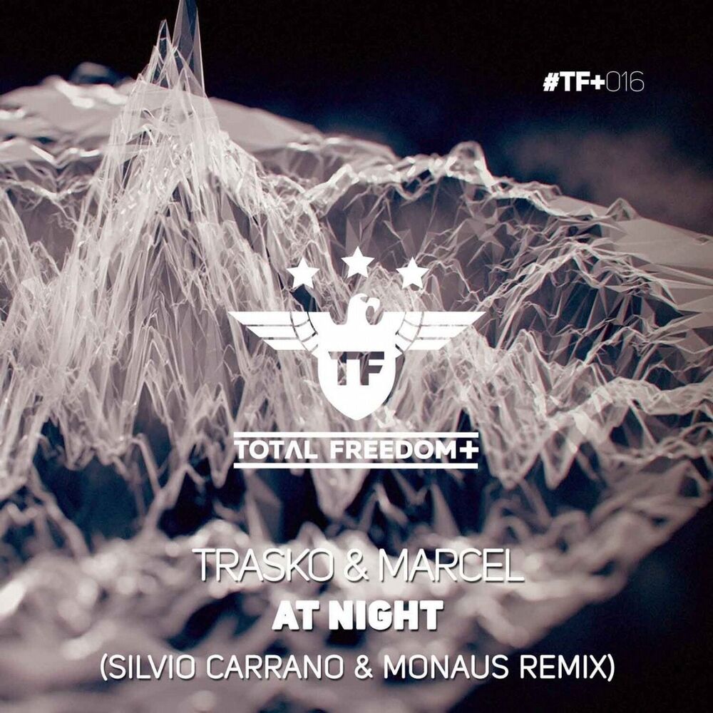 Picture of At Night (Silvio Carrano & Monaus Remix)