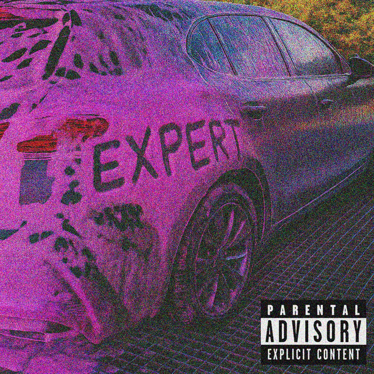 Album cover of Expert Mixtape