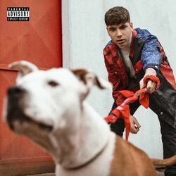 Cover of Come No