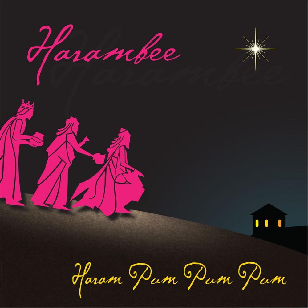 Picture of Haram Pum Pum Pum