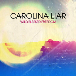 Cover of Wild Blessed Freedom