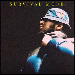Cover of Survival Mode