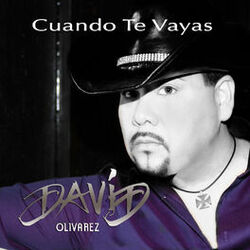 Cover of Cuando Te Vayas