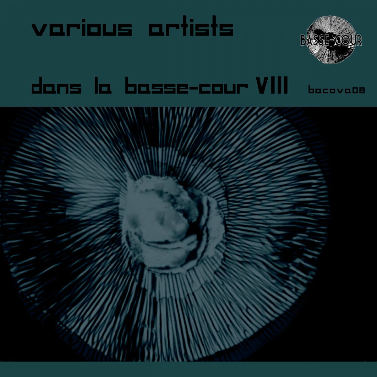 Album cover of Dans la Basse-cour VIII