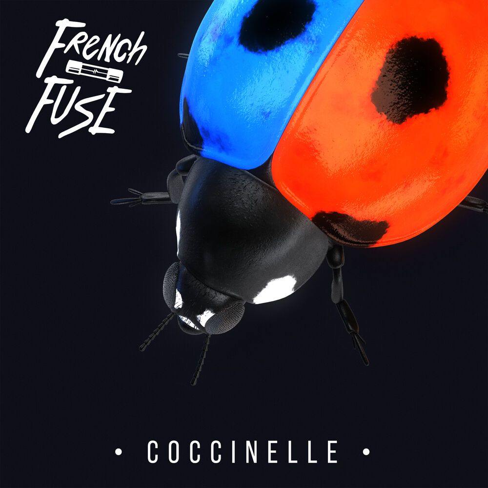 Picture of Coccinelle