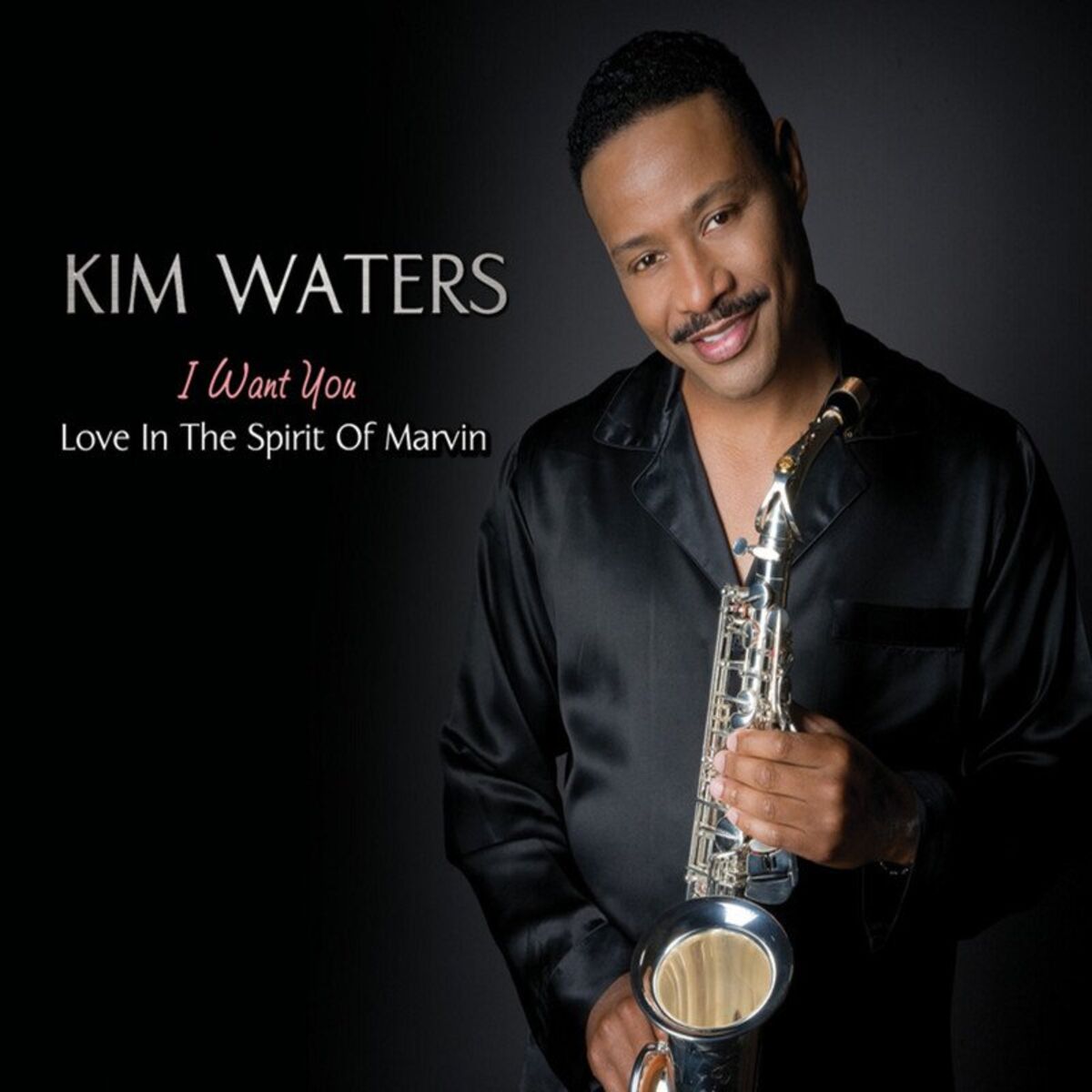 Album cover of Distant Lover