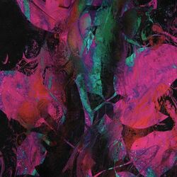 Cover of Alleviate