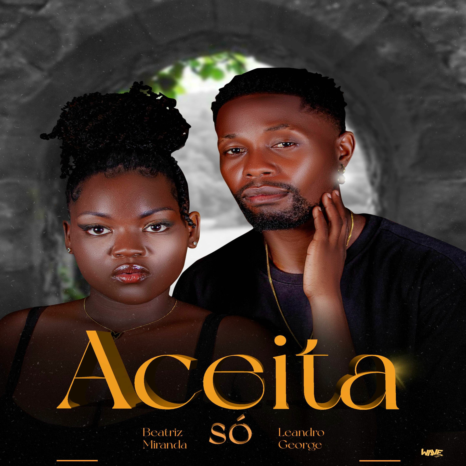 Album cover of Aceita só