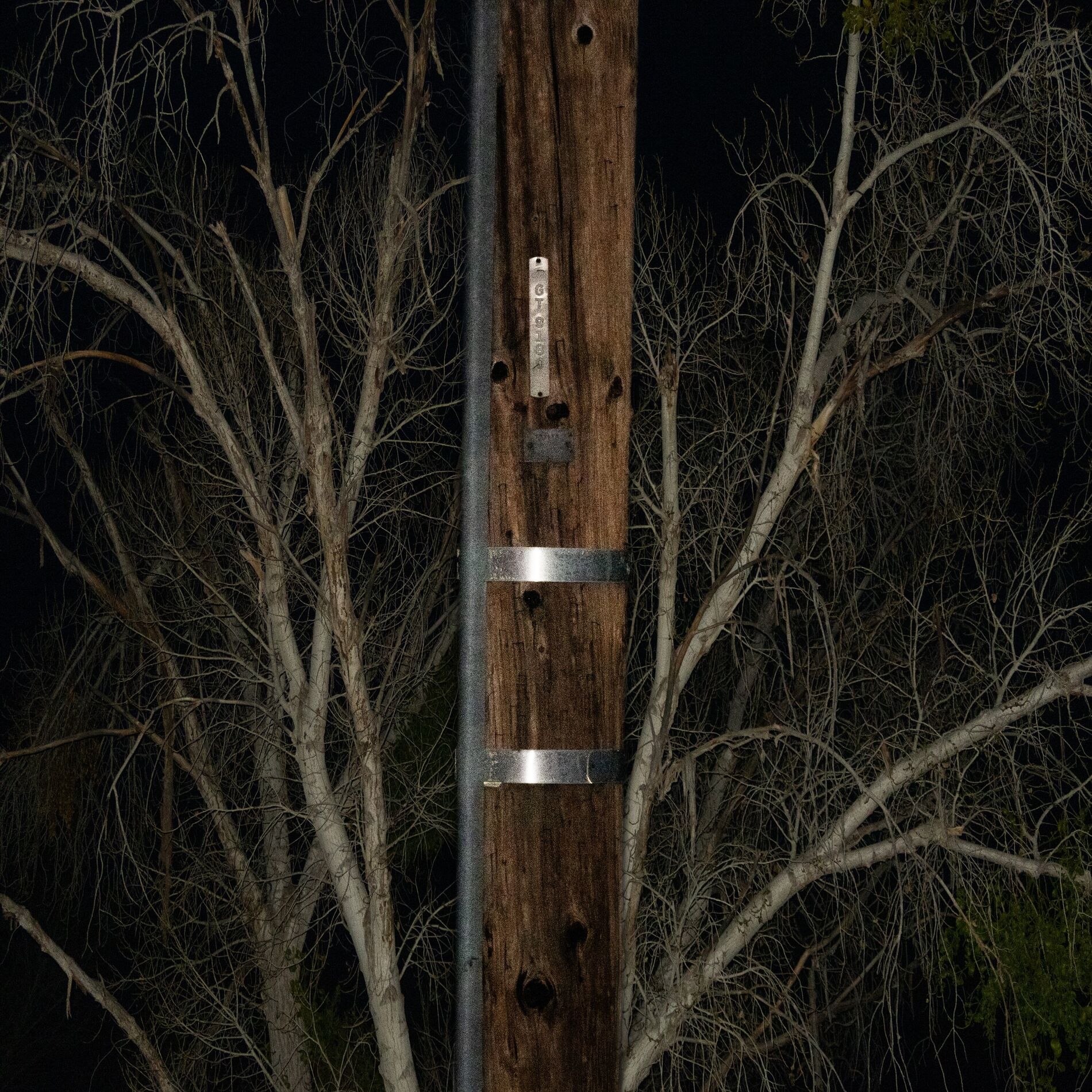 Album cover of voidfield
